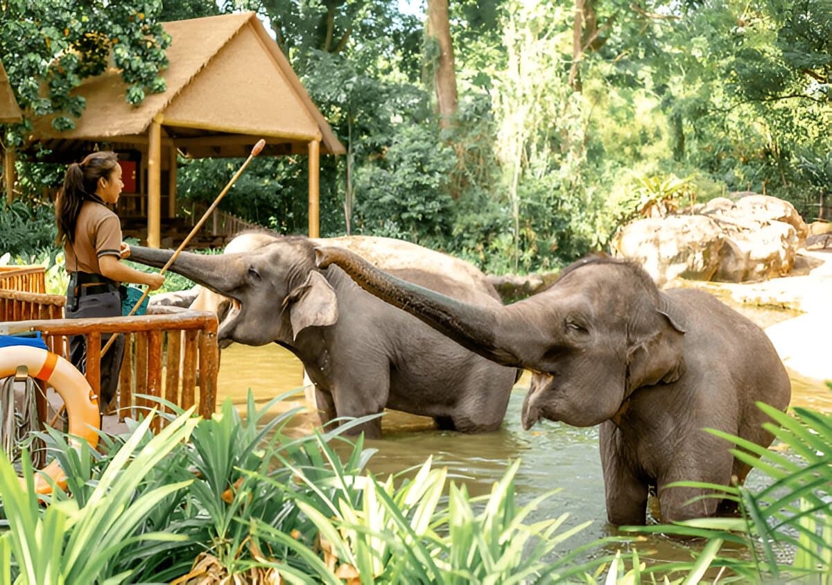 Explore Singapore Wildlife Tour