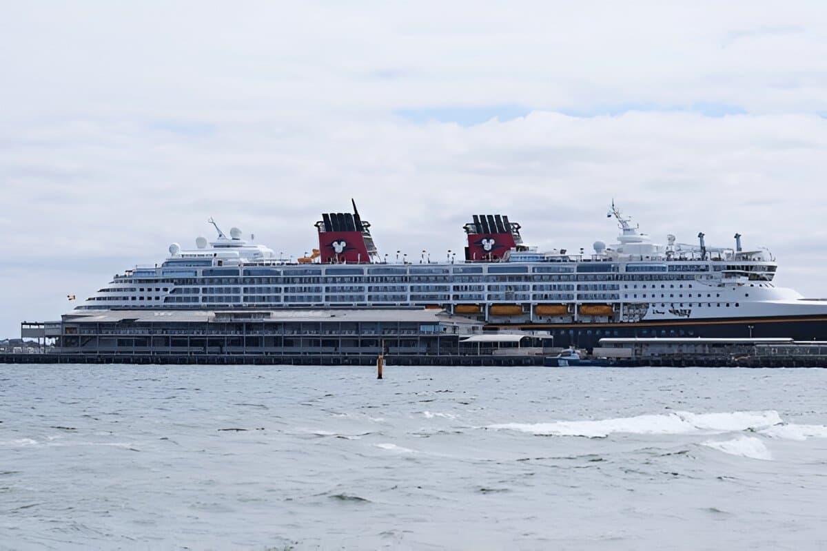 Marine Discovery Cruise