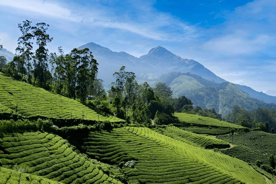 Things to do in South India