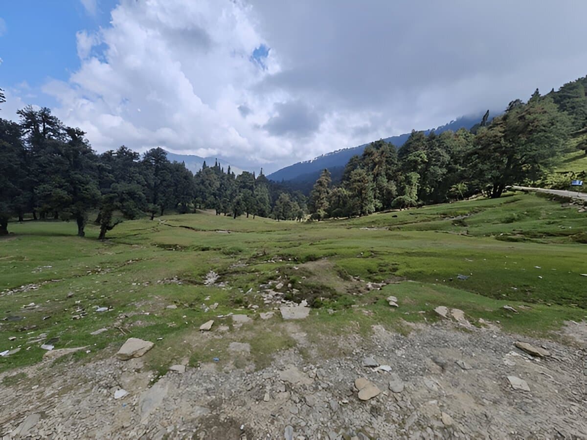 Chopta Bugyal