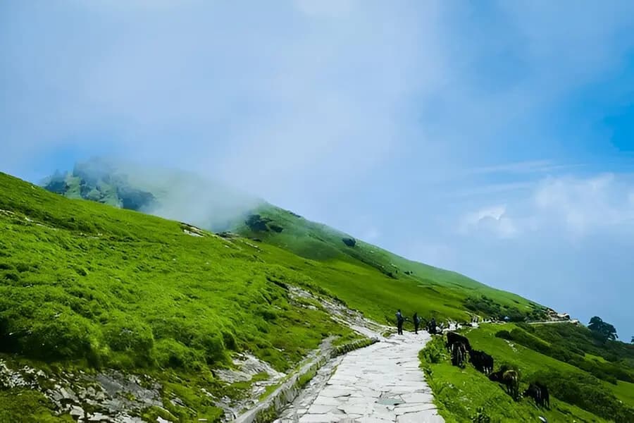 Chopta in February